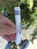 IMG_20240626_093646_730